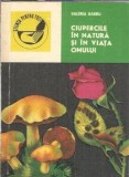 Ciupercile in natura si in viata omului - Valeria Barbu