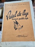 PUIUL DE LUP - LUDA MIELUT, DESDA MONIC (VERSURI PENTRU COPII) (CU DEDICATIE)