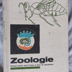 ZOOLOGIE - IOAN C VOICULESCU , ANUL 1973, STARE FOARTE BUNA . RARA !