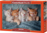 Puzzle 1000 piese The Sweetest Kittens, castorland