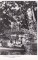Foto  - 1