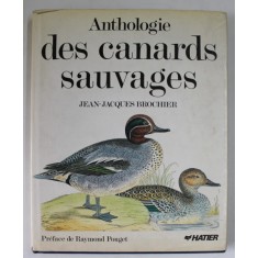 ANTHOLOGIE DES CANARDS SAUVGES par JEAN - JACQUES BROCHIER , 1989