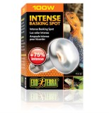 Cumpara ieftin Bec pentru terariu Exo Terra Intense Basking Spot, 100 W - RESIGILAT