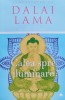 Calea Spre Iluminare - Dalai Lama, Curtea Veche, Romana, Spiritualitate, Ezoterism