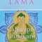 Calea Spre Iluminare - Dalai Lama , D37