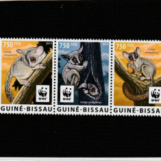 Guinea Bissau 2015-WWF,Fauna,Galago do Senegal,serie 4 val.,MNH,Mi.8278-8281