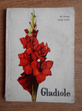 M. Preda - Gladiole