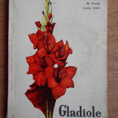 M. Preda - Gladiole