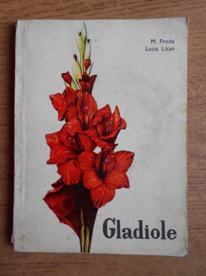 M. Preda - Gladiole foto