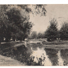 CPIB 16426 CARTE POSTALA - PITESTI. VEDERE DIN PARCUL VASILE ROAITA , RPR