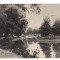 CPIB 16426 CARTE POSTALA - PITESTI. VEDERE DIN PARCUL VASILE ROAITA , RPR