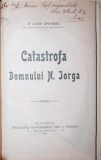 CATASTROFA DOMNULUI N . IORGA