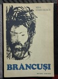 Brancusi - Nina Stanculescu