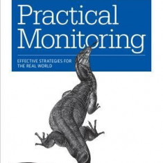 Practical Monitoring: Effective Strategies for the Real World