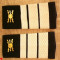 C2 13 - Grade militare - plutonier major transmisiuni - piesa de colectie!