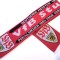 Fular fotbal - VFB STUTTGART (Germania)