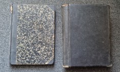 TRATAT ELEMENTAR DE ANATOMIE DESCRIPTIVA SI TOPOGRAFICA - Papilian (2 volume) foto