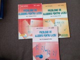 PROBLEME DE ALGEBRA PENTRU LICEU ION PETRICA-3 VOLUME 19/3