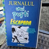Jurnalul unui pusti. Escapada