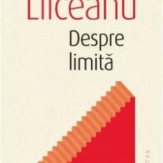 Despre limita - Gabriel Liiceanu