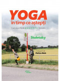 Yoga &icirc;n timp ce aștepți. Cum să profiți de pauzele fără sens - Judith Stoletzky