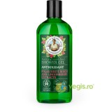 Gel de Dus Antioxidant cu Extract de Mesteacan Alb si Merisoare Salbatice 260ml