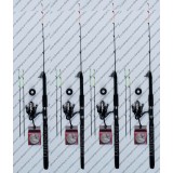 SET 4 Lansete Power tele feeder 3,30m + 4 Mulinete QFC4000 si 4 role 150m fir