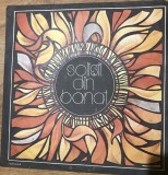Vinil 6 Vinyl Electrecord - Solisti din Banat