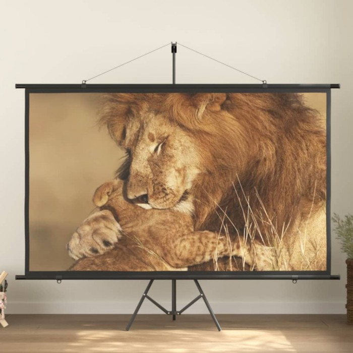 Ecran de proiecție cu trepied 100&quot; 16:9