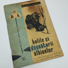 BOLILE SI DAUNATORII ALBINELOR - ANUL 1965 - Alexandru Popa, Mihaela Serban