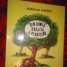 Din lumea vrajita a plantelor - Nikolai Osipov /carte educativa,ilustrata copii