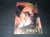 NICOLAE DASCALESCU - PRINT