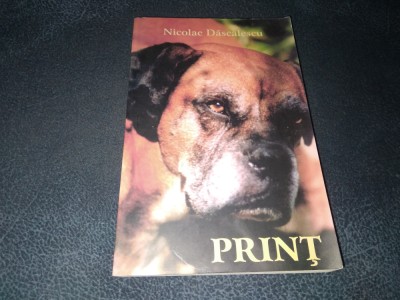NICOLAE DASCALESCU - PRINT foto
