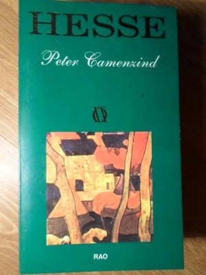 PETER CAMENZIND-HERMANN HESSE-273673 foto