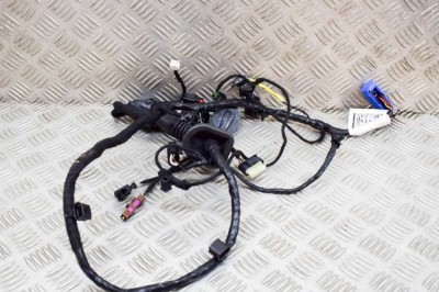 Cablaj ușă dreapta față MASERATI LEVANTE SUV M161 2023 OEM: 670101362,06701013620 21101864 foto