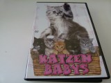Pisici baby, dvd