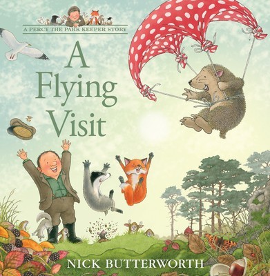 A Flying Visit foto