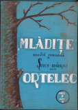 HST 631SP Mlădițe revistă periodică a școlii generale Ortelec 1967 an 1 nr 1