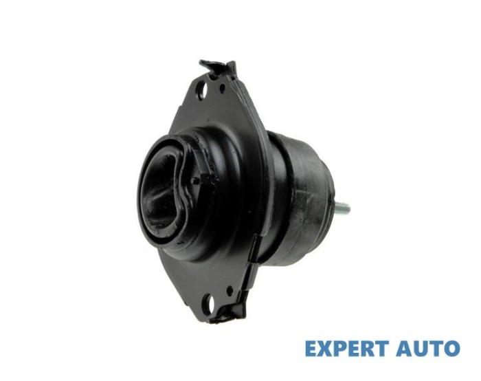 Tampon motor Dodge Durango (2011-&gt;) [WD] #1
