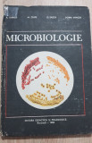 Microbiologie pentru facultățile de medicină - A. Ivanof, M. Ciupe, C. Sașcă