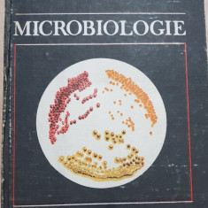 Microbiologie pentru facultățile de medicină - A. Ivanof, M. Ciupe, C. Sașcă