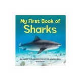 My First Book of Sharks: All about the Largest Fish in the Sea for Kids