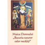 Maica Domnului &bdquo;Bucuria tuturor celor necajiti&rdquo;