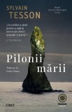 Pilonii mării Trei