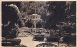 Cumpara ieftin Baile Herculane. Vedere din Parc (necirculata)