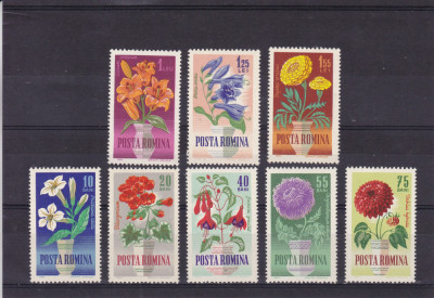 ROMANIA 1964 LP 581 FLORI DE GRADINA SERIE MNH foto