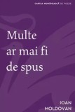 Cumpara ieftin Multe ar mai fi de spus/Ioan Moldovan