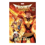 Phoenix Resurrection The Return of Jean Grey