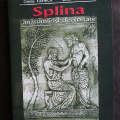 Splina. Anatomie si dezvoltare Cristina Furnica, Stefan Furnica