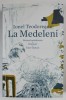 La Medeleni - Ionel Teodoreanu (3 volume) - Hotarul Nestatornic, Drumuri, Intre Vanturi - 2024 - Roman